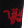 detalle escudo