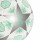 detalle campeonato