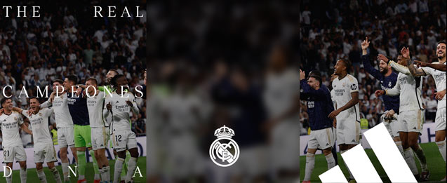 Campeones de la Liga 2024 Real Madrid